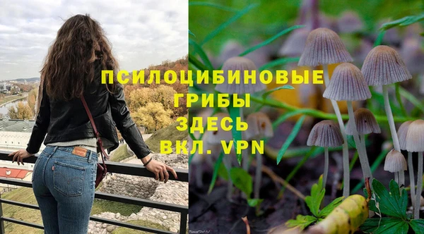 тгк Надым