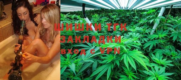 тгк Надым